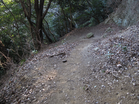 20170126hike (492)